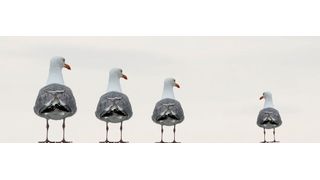 Kunden wollen einheitliche Standards - und haben gleichzeitig den Wunsch nach individualisierten Produkten. (Bild: gemeinfrei)