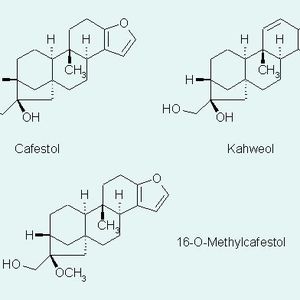 Abb. 2 Strukturen der in Kaffee vorkommenden Diterpenalkohole Cafestol, Kahweol und 16-O-Methylcafestol.