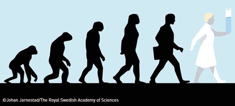 Der Chemienobelpreis 2018 wird für die zielgerichtete Evolution von Proteinen verliehen (Symbolbild). (Johan Jarnestad/The Royal Swedish Academy of Sciences)