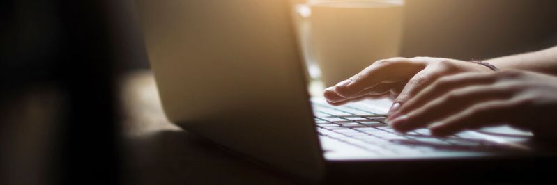 Die Verwaltungen arbeiten daran, neue Onlineangebote für den Bürger zu schaffen Die Verwaltungen arbeiten daran, neue Onlineangebote für den Bürger zu schaffen