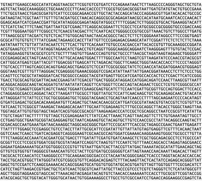 Der „genetische Code von Mezzanine“. Der Ausschnitt entspricht einem 27.000-stel der Information des ganzen Musikalbums. ( ETH Zürich / Robert Grass)