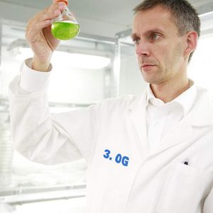 2 Dr. Gilbert Gorr bei der Arbeit mit Physcomitrella patens.