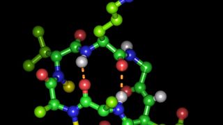Cyclisches Hexapeptid in seiner bioaktiven Form mit der Integrin-bindenden Tripeptidsequenz Arginin-Glycin-Asparaginsäure  (© Michael Weinmueller / TUM )