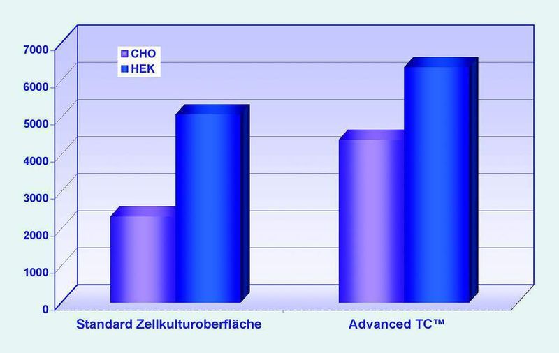 Abb. 4: Erhöhte Transgenaktivität: CHO- und HEK-Zellen wurden in einer 96-Well-Platte ausgesät, für 24 Stunden kultiviert (37 °C, 5% CO2) und daraufhin mit dem pCMV-GLuc-Vector transfiziert. Beide Zelllinien zeigen auf der Oberfläche Advanced TC eine erhöhte Luciferaseaktivität. (Archiv: Vogel Business Media)