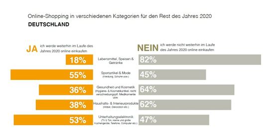 (Frage: In welchen Kategorien werden Sie in diesem Jahr online einkaufen? (Quelle: Kantar/Detail Online))