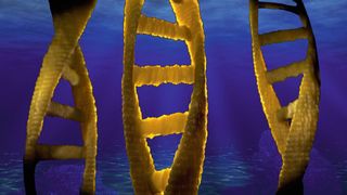 DNA ist der Speicher genetischer Information. Doch extrazelluläre DNA dient auch Mikroben im Meeresboden als Nahrungsgrundlage (Symbolbild). (Bild: gemeinfrei, yokim, ColiN00B)