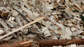 Die primäre Biomasseproduktion, vor allem Landwirtschaft sowie Forstwirtschaft und Fischerei, schafft viele Arbeitsplätze, meist aber nur einen geringen Umsatz. (gemeinfrei)