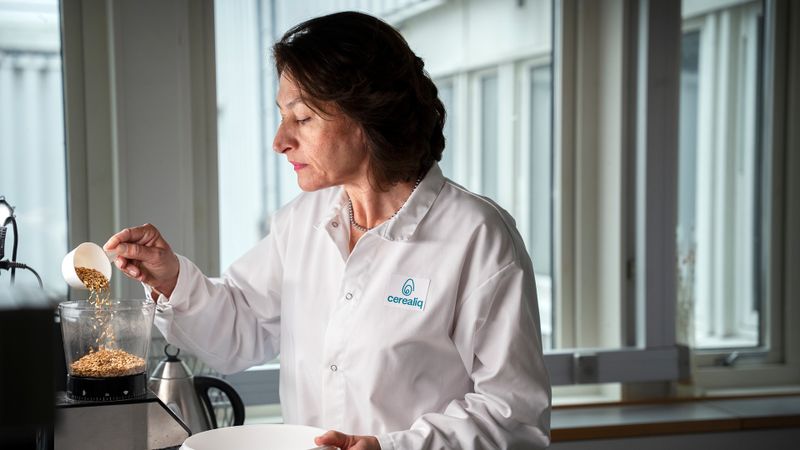 Kuhmilch ist zwar nahrhaft, ihre Produktion kann jedoch überdurchschnittlich hohe Treibhausgasemissionen verursachen. Gleichzeitig haben viele Menschen weltweit Probleme mit der Verdauung von Laktose und nehmen zu wenig Ballaststoffe zu sich. Pflanzliche Alternativen gibt es schon seit langem, doch frühe Versionen konnten die Konsistenz und den Geschmack von Milchprodukten nicht nachahmen. Angeliki Triantafyllou hat einen enzymatischen Prozess entwickelt, der Hafer in eine schmackhafte Alternative zu Milchprodukten verwandelt. (Bild: EPO)