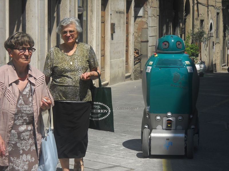  (Bild: Silvia Fornai/Marco Toncelli, Scuola Superiore Sant-Anna)