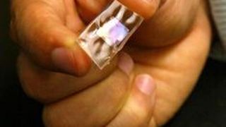 Ein Prototpy des Gummi-Stromerzeugers  (Bild: Frank Wojciechowski)