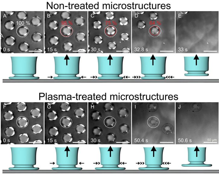 Mit Plasma behandelte Silikonoberflächen (u.) weisen eine stärkere Haftung auf als unbehandelte (o.). (Emre Kizilkan/CAU Kiel)