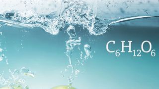 Abb. 1: Mit polymerbasierten Eurokat-Säulen können Zucker mit einer einfachen isokratischen Methode getrennt und dabei Wasser als Eluent verwendet werden. (©fotobieshutterb - stock.adobe.com)