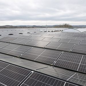 Photovoltaik-Panels auf dem Dach des neuen Industriegebäudes in Blomberg.(Bild:  Phoenix Contact)