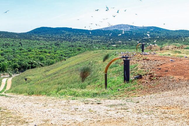 Mithilfe von zuverlässigen Prozessmessgeräten zeigt die Pilotanlage von Wildfire Energy erfolgreich, dass die Produktion von Wasserstoff und Synthesegas aus Biomasse und Restmüll möglich ist.(Bild:  Endress+Hauser)