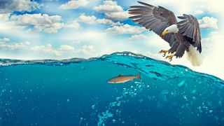 Attack Path Management zeigt IT-Sicherheitsverantwortlichen genau, wie Angreifer versuchen, sich mit den ausgefeiltesten Tricks Zugriff auf sensible und profitable Datenschätze zu verschaffen. (Bild: gemeinfrei© cocoparisienne)