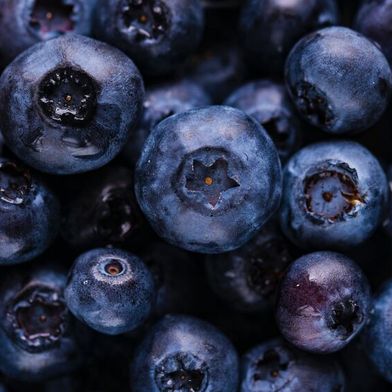 Moderne Lufttrockner mit Adsorptionstechnologie bieten eine effektive Lösung für die Lagerung empfindlicher Früchte – ohne Chemie und mit geringerem Energieaufwand. (Bild: frei lizenziert)