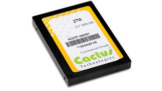 Cactus_Technologies_250_2_5 ()