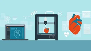 Knochen Und Organe Aus Dem 3d Drucker