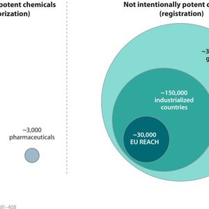 Die Menge an verschiedenen produzierten Chemikalien geht in die Hunderttausende. Alle Substanzen behördlich zu überwachen ist eine gewaltige Herausforderung.(Bild:  Scheringer M, Schulz, R. 2025)