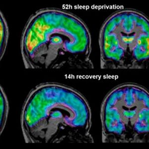((c) Forschungszentrum Jülich)