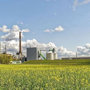 Solvay hat sich vorgenommen, bis 2025 die Kohlenutzung am Standort Rheinberg aufzugeben.(Bild:  Johannes Kefferpütz)