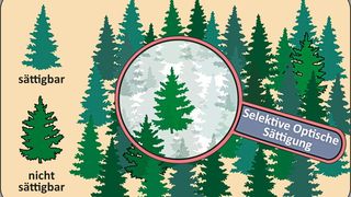 Der Nachweis von sehr gering konzentrierten Spurengasen in der Atmosphäre kann mit der Suche nach den vereinzelten Tannen in einem Fichtenwald verglichen werden. Das Bild soll vermitteln, dass durch selektive optische Sättigung die unerwünschten Informationen – hier die Fichten – wie unter einem Zaubermantel verschwinden.  (Bild: Illustration: Gernot Friedrichs, Uni Kiel)