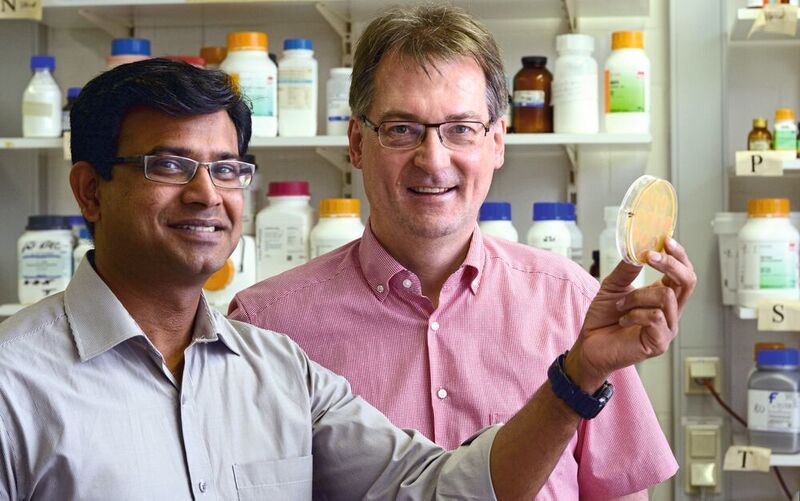 Die Biochemiker Dr. Karthikeyan Radhakrishnan und Prof. Dr. Thomas Dierks (Universität Bielefeld)