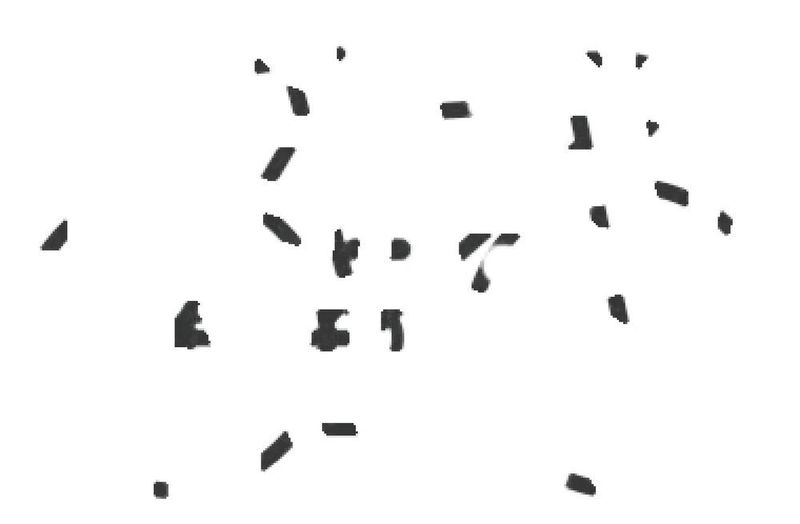 Bild 1: Erkennen Sie das Objekt? Unser visueller Cortex kann in Sekundenbruchteilen Bilder erfassen und Objekte erkennen, selbst wenn diese kaum oder nur bruchstückhaft zu sehen sind. Dieses Bild wird regelmäßig in den Vorlesungen von Thomas Pock verwendet, um die Leistungsfähigkeit des menschlichen Gehirns zu demonstrieren. Etwa 10 Prozent der Studierenden erkennen das Bild sofort, weitere 10 Prozent nach einer Weile. (Thomas Pock/TU Graz)