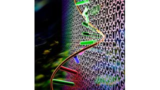 Drfold created two complementary deep-learning network pipelines – one focused on end-to-end learning, and the other on geometrical restraint learning. (Source: Getty Images )