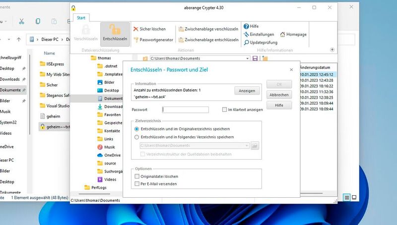 Der Zugriff auf die verschlüsselten Dateien in Aborange Crypter ist nur mit dem richtigen Kennwort möglich. (Bild: Joos – Aborange)