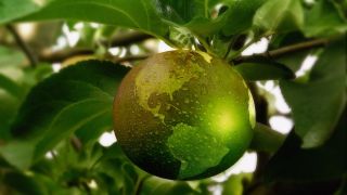 2025-12-10-20--20eubp-20aufmacher-1280x720v1 (Bild: geralt)