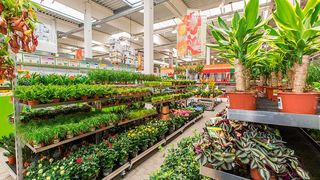 Die Blue Yonder Inventory and Commits Services stellen Hornbach-Kunden eine große Zahl an Optionen, Informationen und Auswahlmöglichkeiten zur Verfügung, die ein konsistentes Einkaufserlebnis ermöglichen. (Bild: Hornbach)