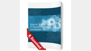 Whitepaper Cover: Veritas