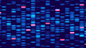 Die Daten im Gesundheitswesen allesamt auf einen Stand zu bringen ist eine Mammutaufgabe, der sich ein neu gegründetes Joint Venture stellen möchte. (Bild: © Igor - stock.adobe.com)