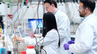 Forscher der Universität Halle-Wittenberg haben neuartige, preiswerte Katalysatoren entwickelt. (Symbolbild) (gemeinfrei)