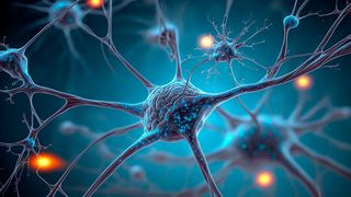 Kennzeichnend für die Autoimmunerkrankung Multiple Sklerose (MS) ist, dass sich das Immunsystem gegen körpereigene Strukturen richtet und die Hülle von Nervenfortsätzen, die so genannte Myelinschicht, zerstört. Dadurch entstehen Entzündungsherde im zentralen Nervensystem. (Bild: Marco - stock.adobe.com)