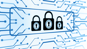 ntt wb 26.11 (canva)