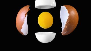 Die Anatomie des perfekten Frühstückseis: komplett durchgegart, aber nicht zu hart. Wie das gelingt, zeigt eine Studie von Physikern aus Italien. (Bild: svetazi - stock.adobe.com)