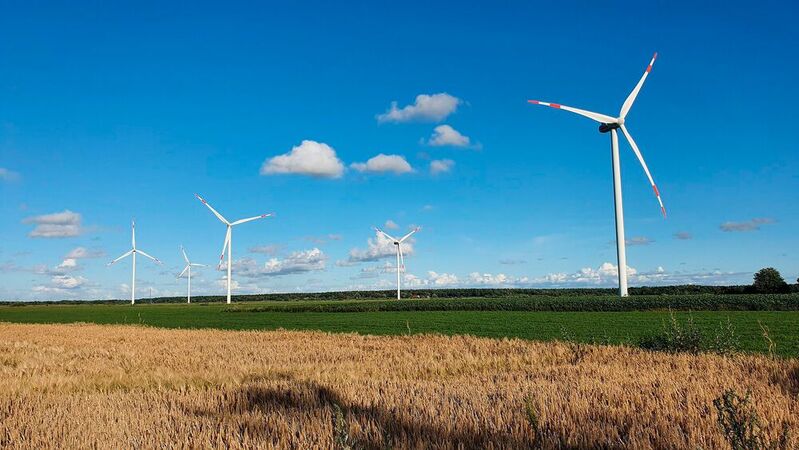 Die vielen Windkraftanlagen sieht Northvolt als klaren Standortvorteil in Schleswig-Holstein.