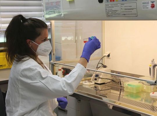 Anja Ramsperger untersucht, ob Mikroplastikpartikel biologische Barrieren im Zellkulturmodell überwinden können. Anja Ramsperger untersucht, ob Mikroplastikpartikel biologische Barrieren im Zellkulturmodell überwinden können.