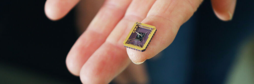 At the edge of graphene-based electronics