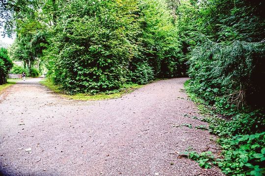 Wolang soll es gehen? Wenn äußere Hinweisreize fehlen, kann das Navigieren schwierig werden. Wolang soll es gehen? Wenn äußere Hinweisreize fehlen, kann das Navigieren schwierig werden.