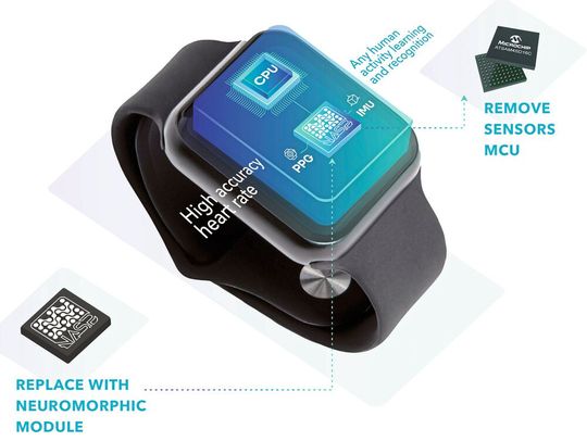 Tiny AI: Mit NeuroSense hat Hersteller Polyn jetzt einen winzigen KI-Chip für Fitnessuhren vorgestellt, der 100-mal weniger Strom verbrauchen und eine viel höhere Genauigkeit als andere Lösungen auf dem Markt haben soll. (Bild:  Polyn)