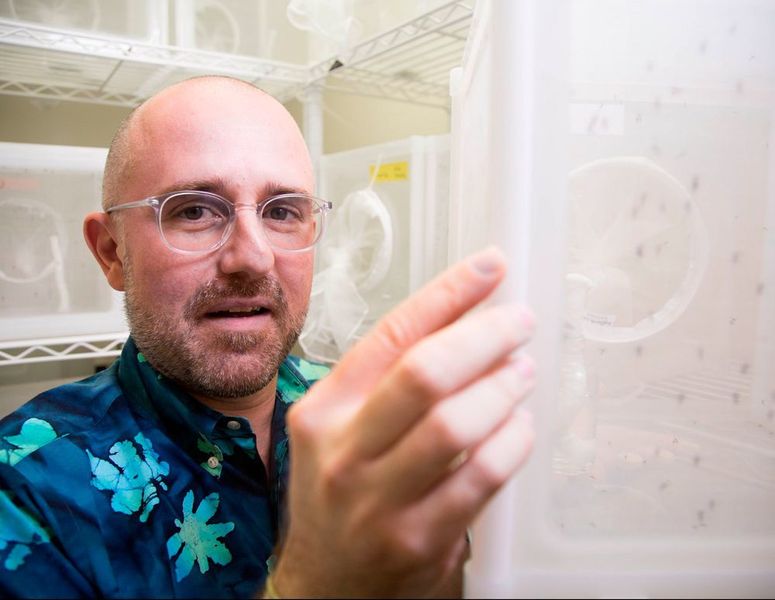Biologist Matthew DeGennaro (FIU)