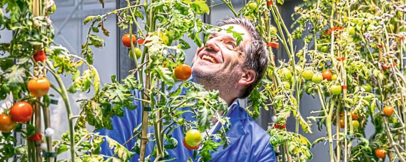 Prof. Dr. Thomas Ott hat am CIBSS – Centre for Integrative Biological Signalling Studies einen grundlegenden Schritt bei der Entstehung der Symbiose zwischen Pflanzen und Bodenbakterien erforscht.(Bild:  Michael Spiegelhalter / Universität Freiburg)