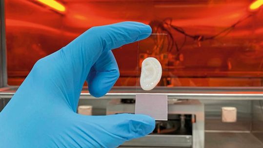 Ein künstliches Ohr, das aus menschlichen Ohrknorpelzellen und Bio-Tinte im 3D-Drucker erstellt wurde.(Bild:  Philipp Fisch / ETH Zürich)