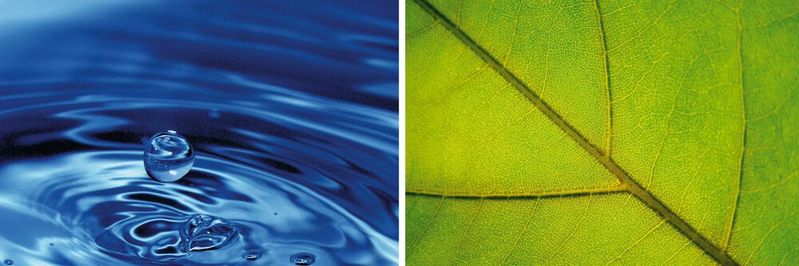 Nachhaltigkeit, Energieeffizienz und Regularien: für USV-Anlagen und Kühl-Systeme wichtige Treiber für Innovation(Bild:  emmi - stock.adobe.com)