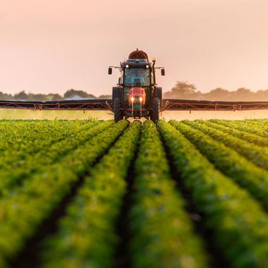Diclofenac Abbau Nachgewiesen Weniger Schmerzmittel In Umwelt Und Nahrungskette