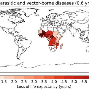 Durchschnittlich verlorene Lebenszeit durch verschiedene Risikofaktoren, bezogen auf das Jahr 2015: Parasitäre und vektorübertragene Krankheiten, 0,6 Jahre  Zu parasitären und vektorübertragenen Krankheiten gehören Malaria, Leishmaniose, Tollwut, Dengue, Gelbfieber und andere.  © The Author(s) 2020. Published by Oxford University Press on behalf of the European Society of Cardiology , DOI: 10.1093/cvr/cvaa025 (Bild:  Figure 4 /Münzel et al. / CC BY 4.0)