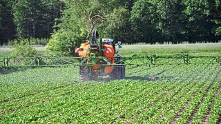 Pestizide in der Landwirtschaft tragen zum Verlust der Biodiversität bei. (Bild: Markus Bernards/FAIR)